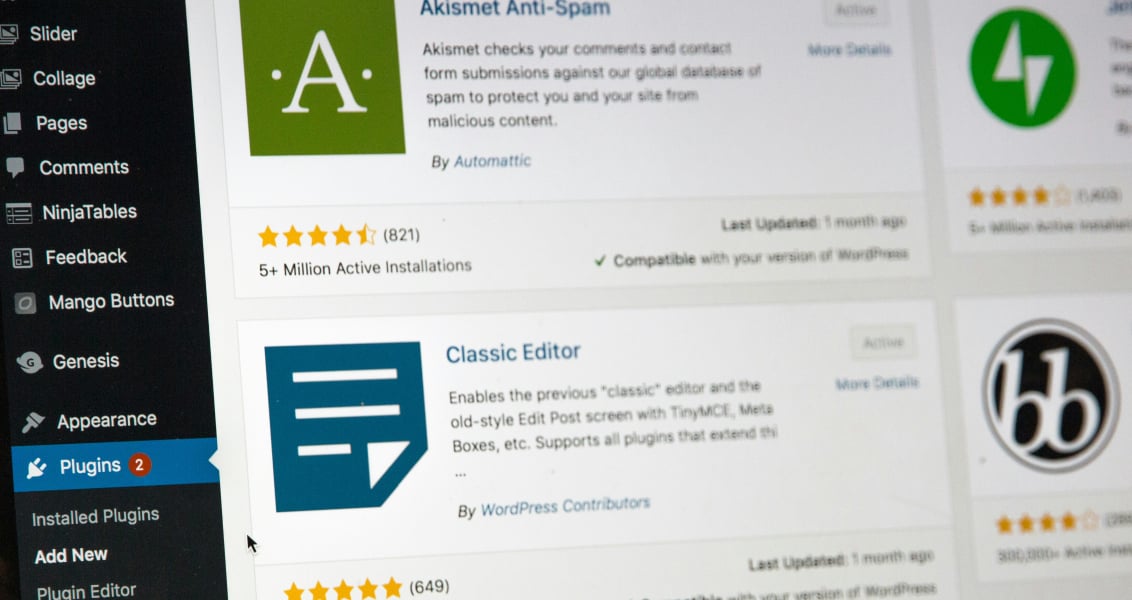 WordPress web design agency