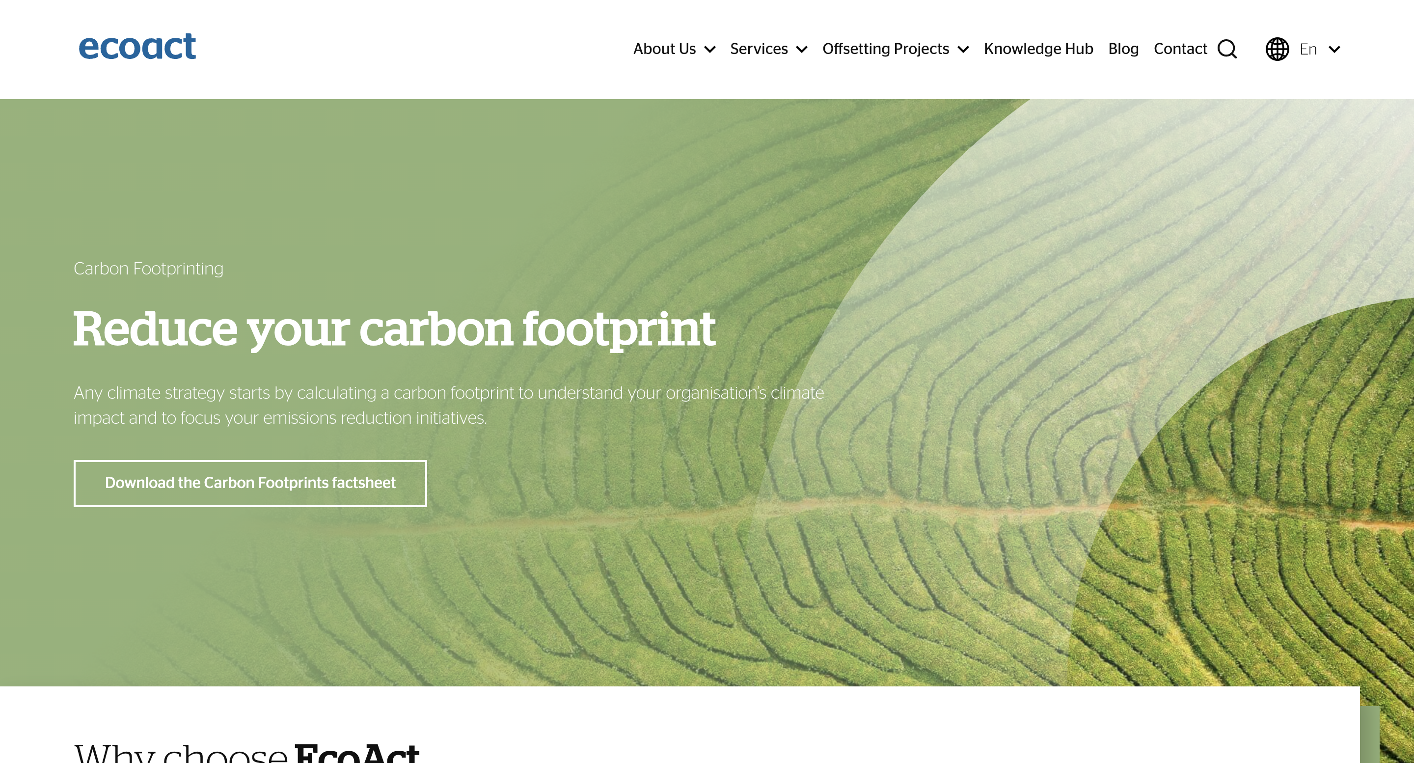 EcoAct web design carbon footprinting service page